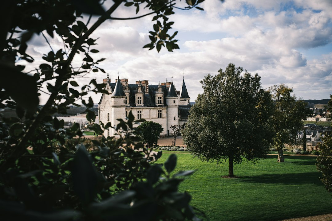 Vale do Loire: o que esperar de uma viagem de luxo pela região dos castelos e vinhos
